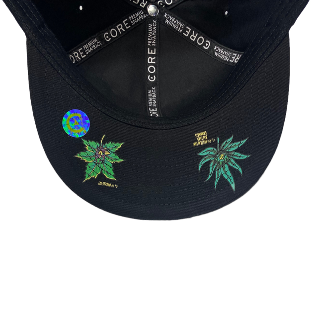 Gorra CORE Premium SnapBack Purple Kush Black