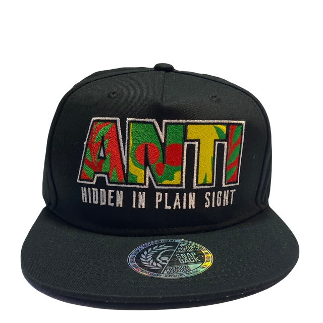 Gorra Antifashion logo Hidden in Plain Sight Black SnapBack