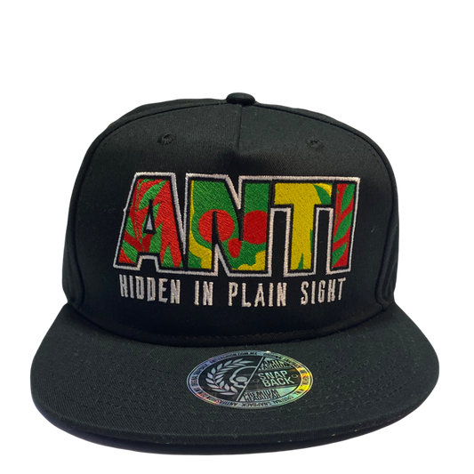 Gorra Antifashion logo Hidden in Plain Sight Black SnapBack