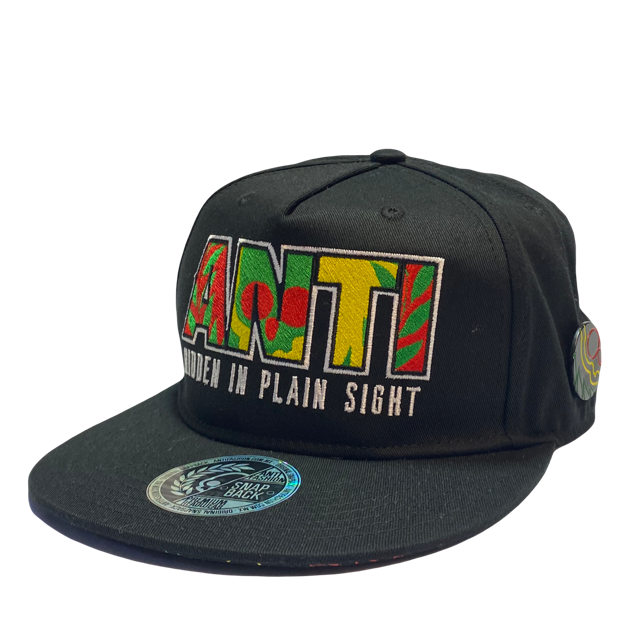 Gorra Antifashion logo Hidden in Plain Sight Black SnapBack