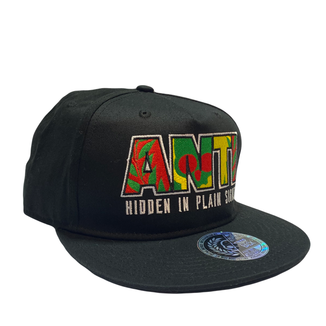 Gorra Antifashion logo Hidden in Plain Sight Black SnapBack