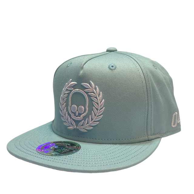 Gorra Antifashion Logo Sky SnapBack